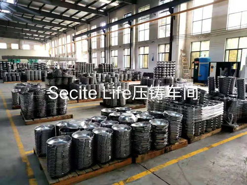 secite 新思特是做什么的